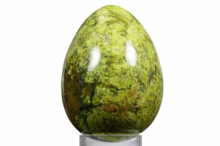 Polished Green Opal Egg - Madagascar #356156